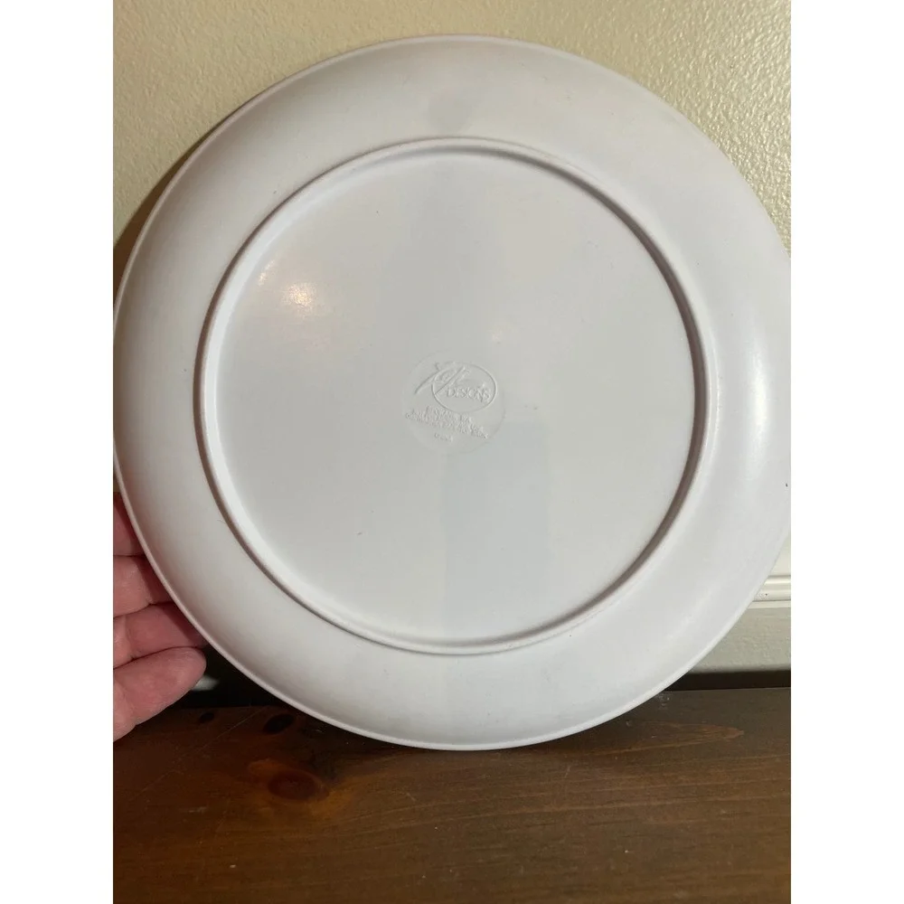 Vintage Disney The Lion King Simba Timon Melamine Plate Zak Designs 90s Kitchen